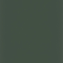 endive shown in maple